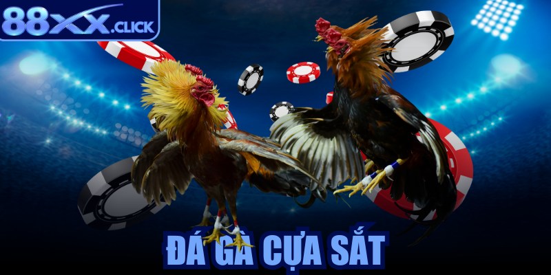 Đá gà cựa sắt
