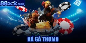 Đá gà Thomo