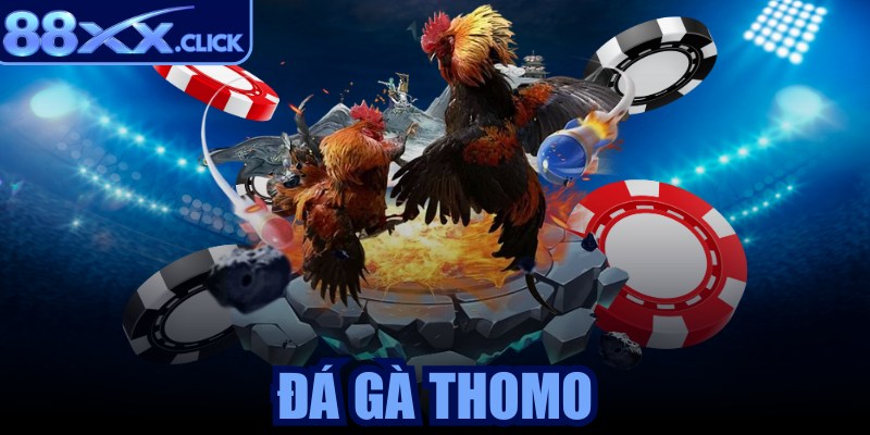 Đá gà Thomo