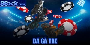 Đá gà tre