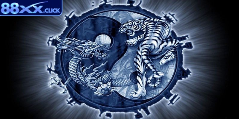 Hãy quan sát cầu để biết lối đưa ra quyết định cược đúng đắn