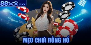 Mẹo chơi rồng hổ